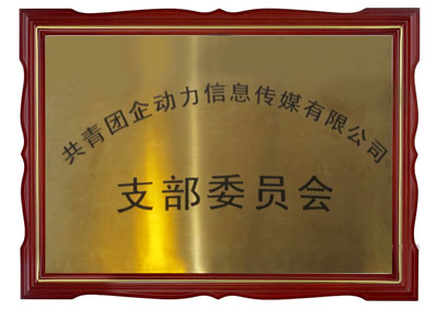 共青團(tuán)企動(dòng)力信息傳媒有限公司支部委員會(huì)