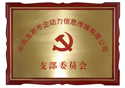 中共龍巖市企動(dòng)力信息傳媒有限公司支部委員會(huì)