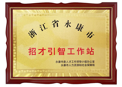 浙江省永康市招才引智工作站