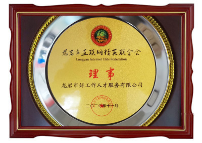 龍巖市互聯(lián)網(wǎng)精英聯(lián)合會(huì) 理事單位