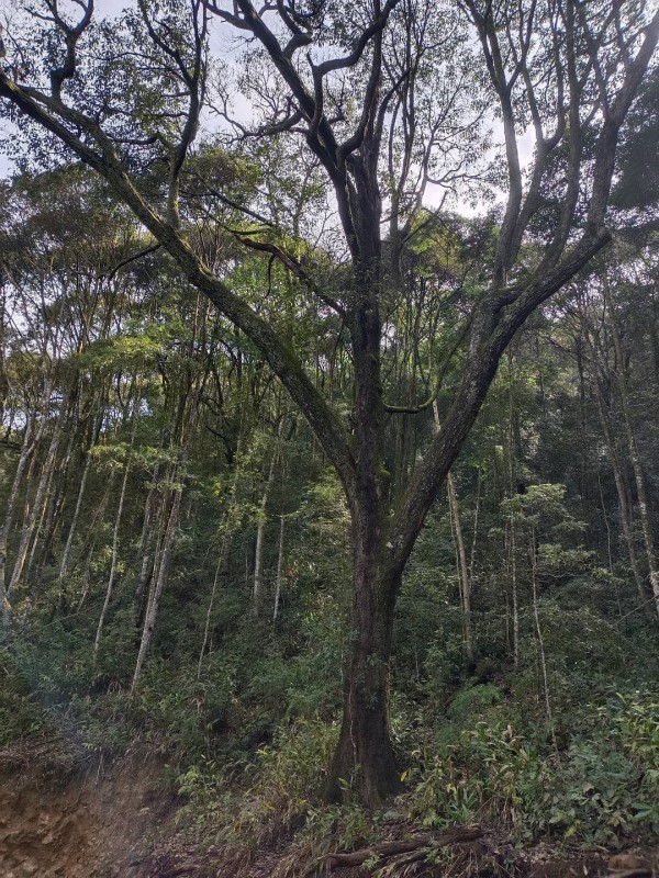 ���v�^��