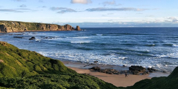 ���v�^��